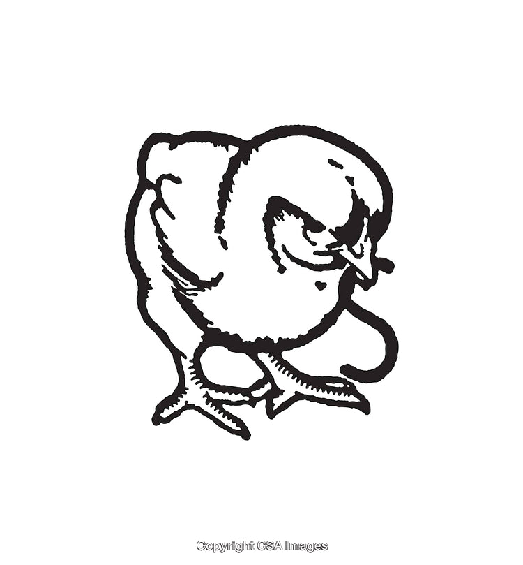 Black And White Line Art Illustration of a Cute Baby Chick