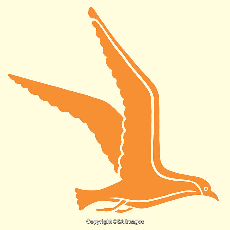 Stylized Illustration of an Orange Bird Flying Against a Light Background