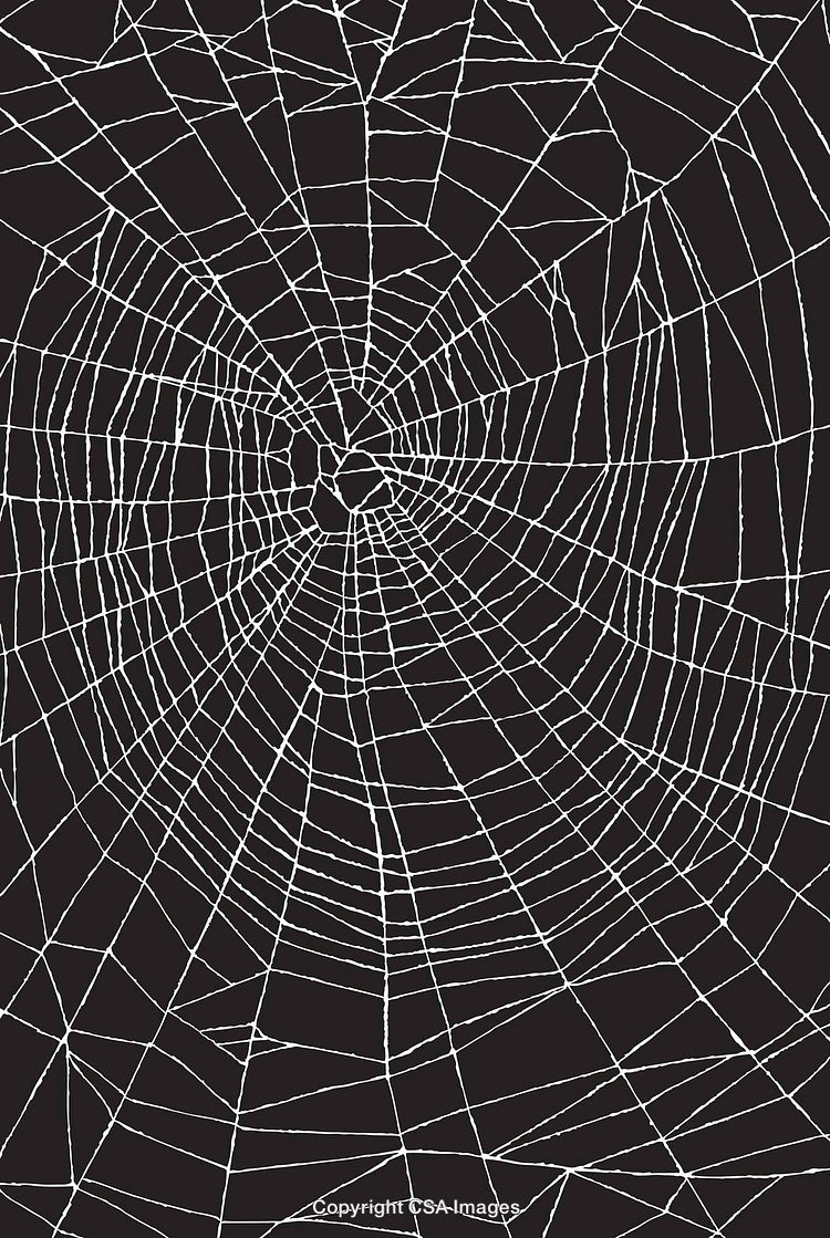 Intricate Black and White Spider Web Pattern on Dark Background