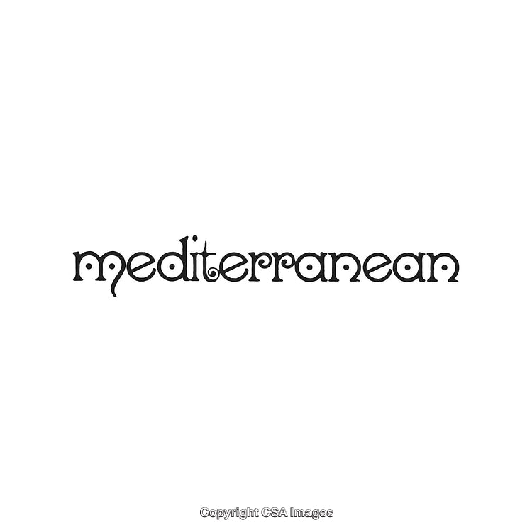 Stylized Typography of the Word Mediterranean in Artistic Black Font