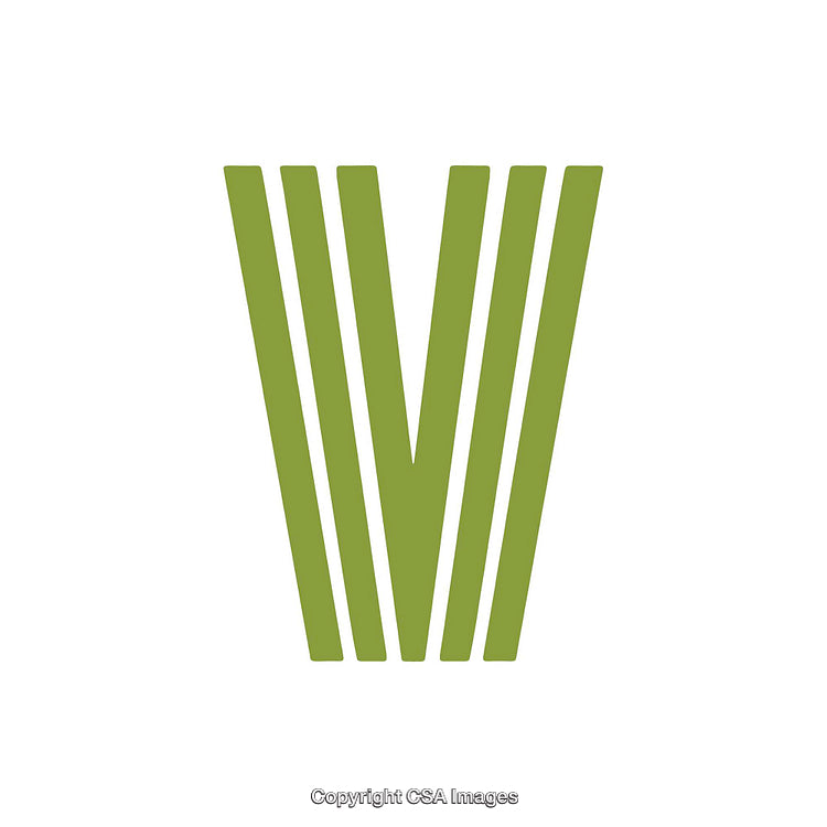 Stylized Green Letter V Illustration Against White Background