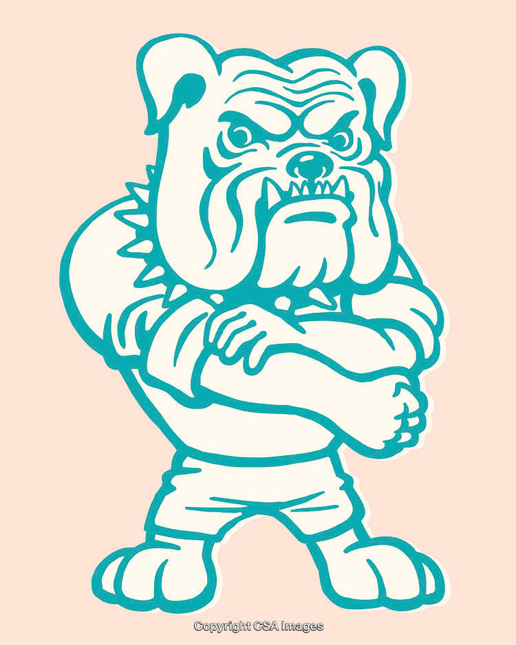 Colorful Bulldog Illustration with Tough Expression in Stylized Cartoon Line Art