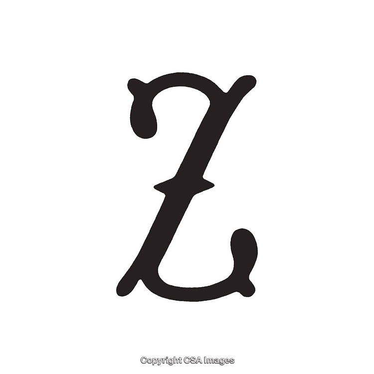 Elegant Script Letter Z Design on White Background