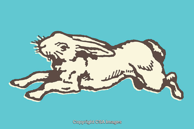 Color Line Art Illustration of a Hare Leaping on Vibrant Background