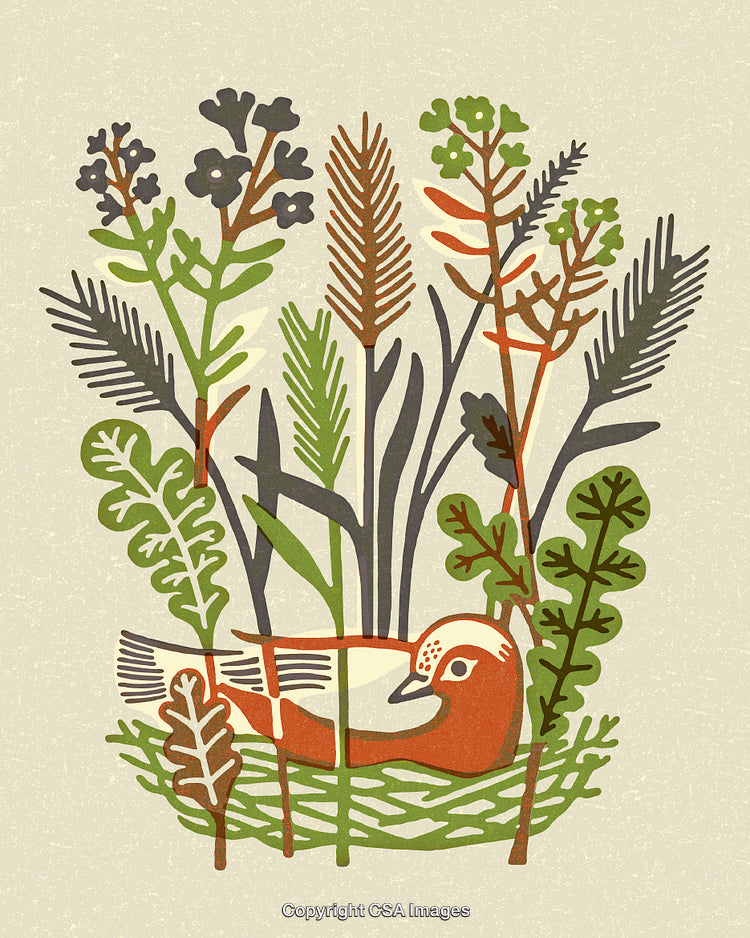 Colorful Stylized Bird Surrounded by Diverse Plants in Artistic Illustration