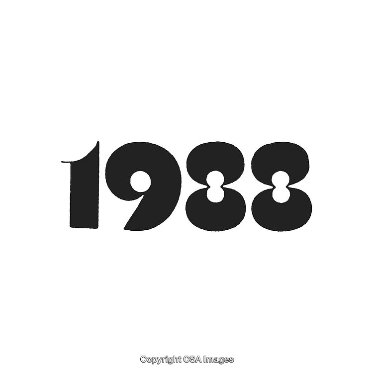 Black Bold 1988 Number Text on a Clean White Background
