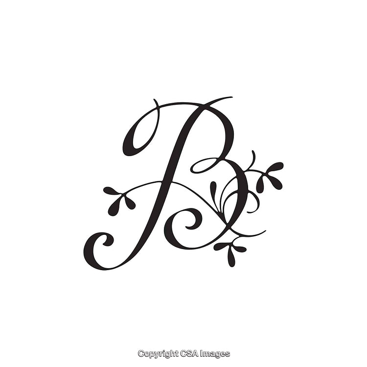 Elegant Decorative Letter B with Flourishes and Floral Motif