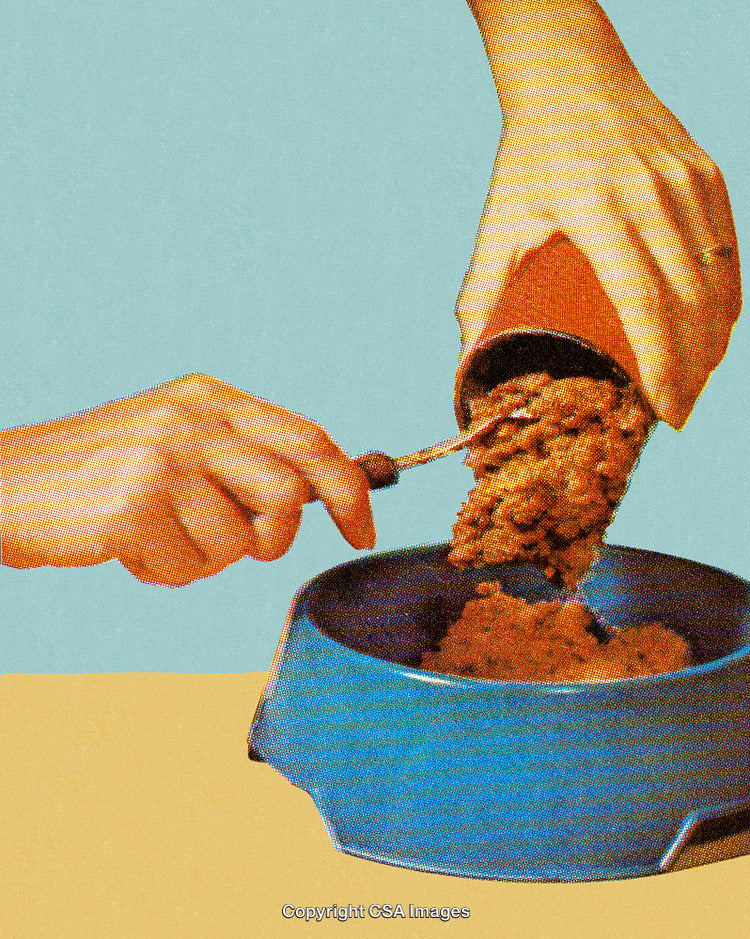 Hand Scooping Food from a Can into a Pet Bowl