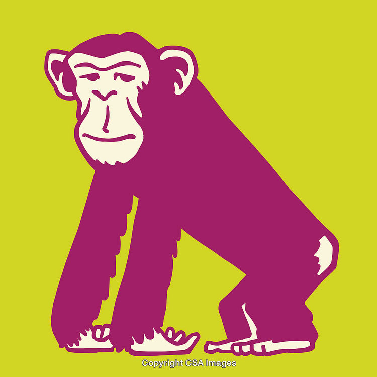 Colorful Line Art Illustration of a Monkey Standing on a Lime Green Background