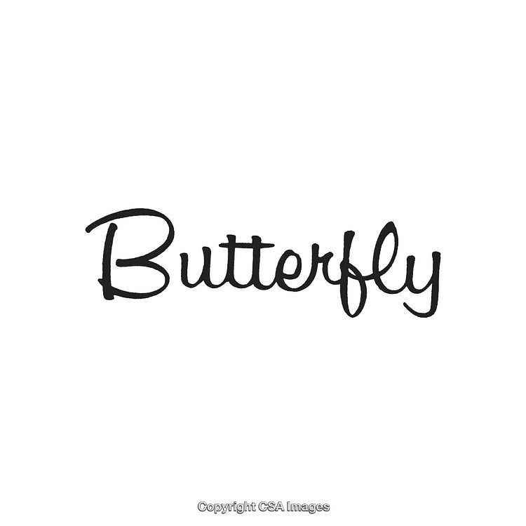 Elegant Handwritten Script Spelling the Word Butterfly on White Background