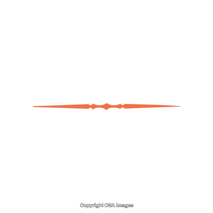 Minimal Orange Decorative Divider Element on a White Background