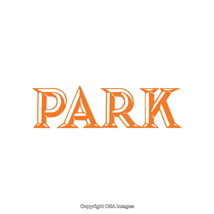 Orange Stylized 'Park' Text on a White Background