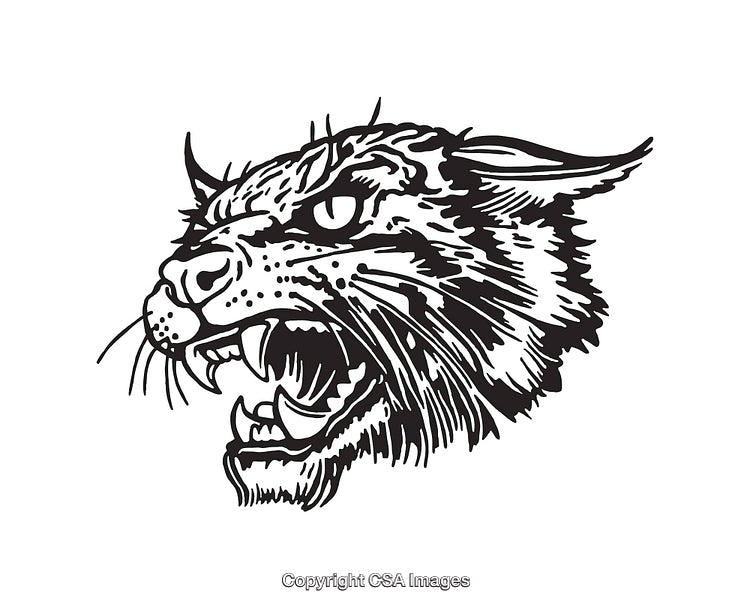 Fierce Wildcat Head Drawn in Bold Black and White Line Art