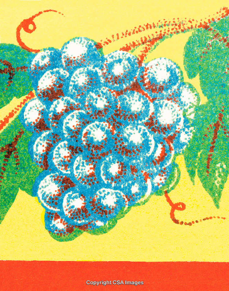 Colorful Painting of Grapes with Green Leaves on Vibrant Background
