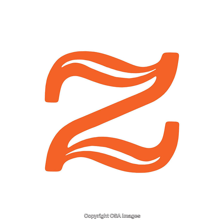 Orange Stylized Letter Z With Bold and Wavy Design Elements