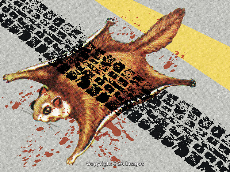 Humorous Illustration of Animal Encountering Road Mishap with Tire Marks and Artistic Style