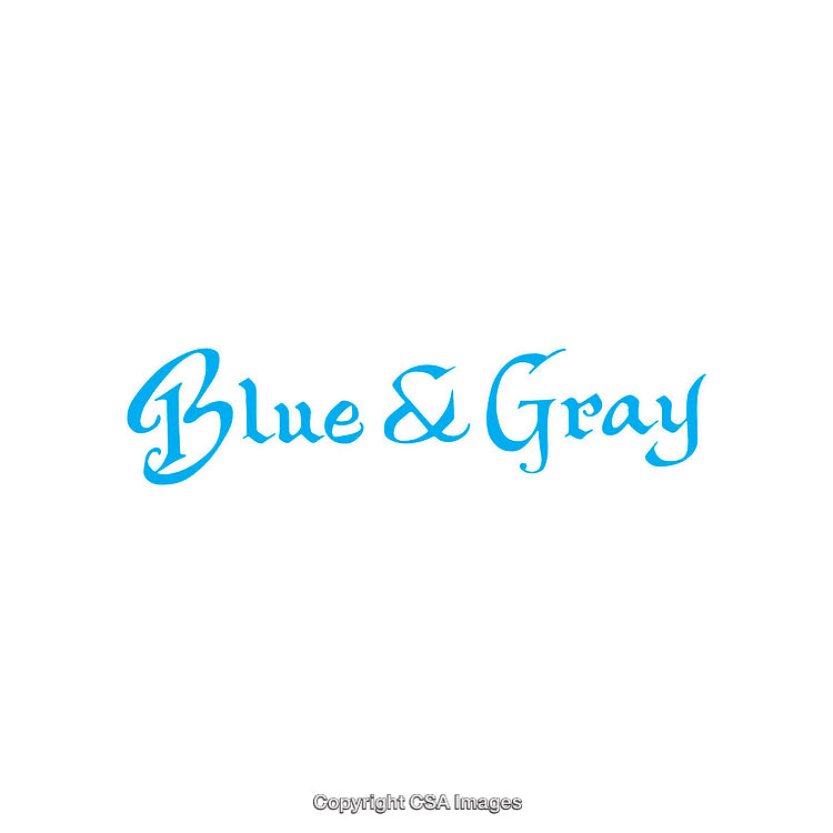 Elegant Blue And Gray Typography Design On a Clean White Background