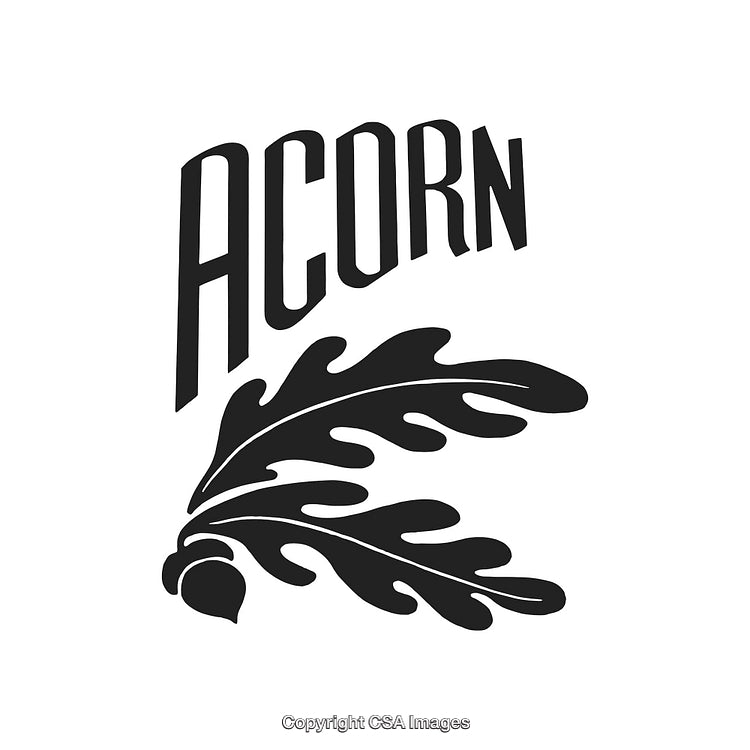 Modern Logo Design Featuring Acorn Outline with Oak Leaves