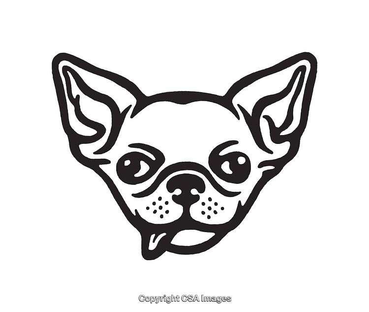 Minimalist Line Art Illustration of a Chihuahua Dog Face
