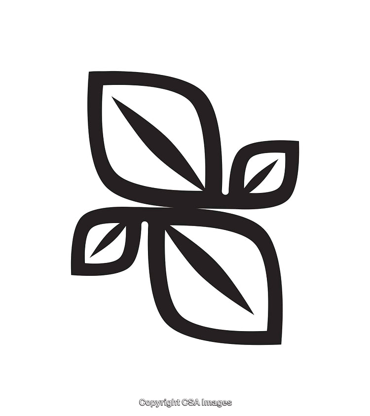 Minimalist Black and White Botanical Line Art with Clean Geometric Style