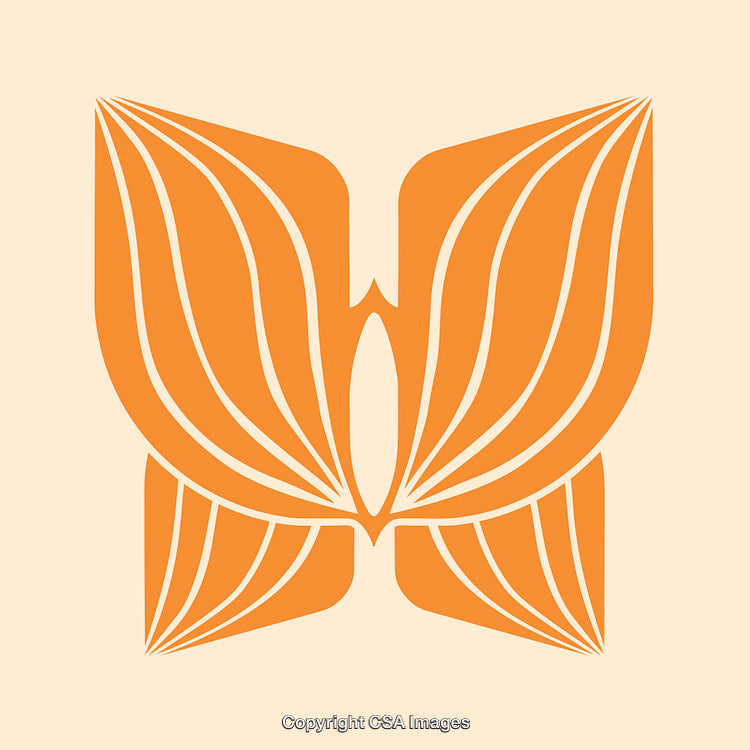 Abstract Butterfly Illustration With Orange Wings and Linear Design Elements