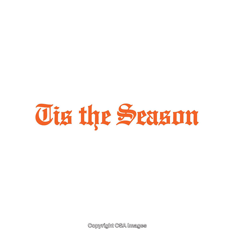 Tis the Season Orange Typographic Design on White Background