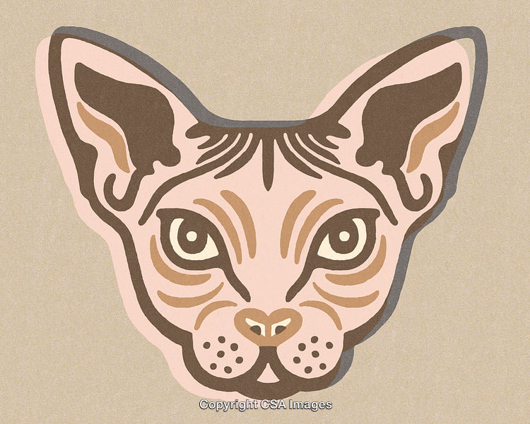 Stylized Illustration of a Cat Face in Simple Artistic Design