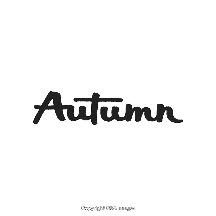 Stylish Handwritten Autumn Text Illustration on White Background
