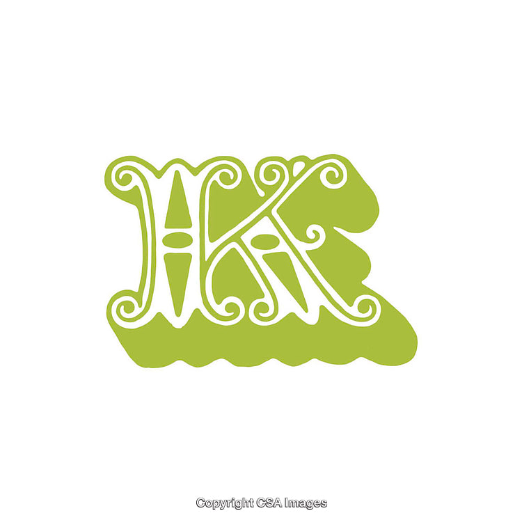 Elegant Decorative Letter K Artwork with Ornate Design