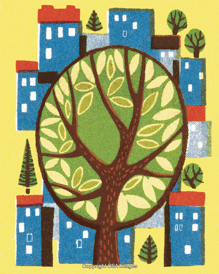 Tree in the Middle of a City