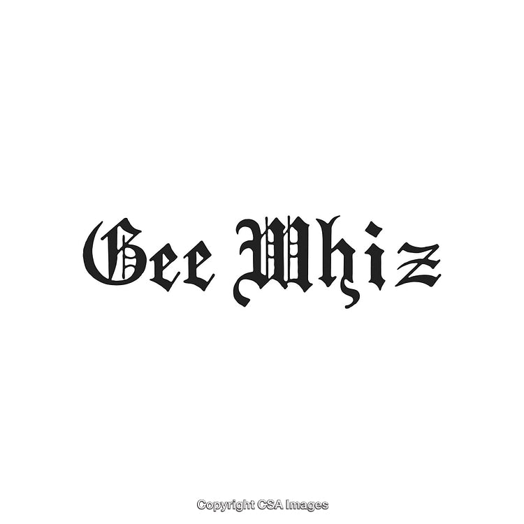 Stylized Gothic Font Text Design Featuring 'Gee Whiz' on White Background