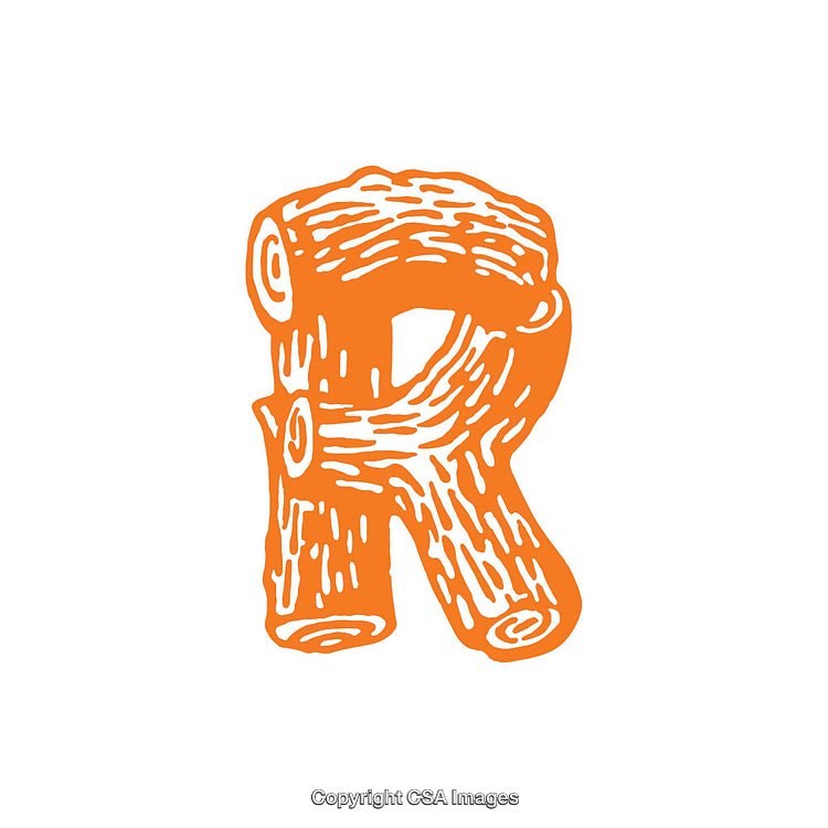 Wooden Textured Letter R in Orange Artistic Design on White