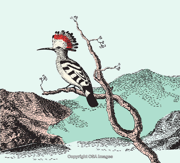 Illustrated Bird in Scenic Landscape Perched on a Branch