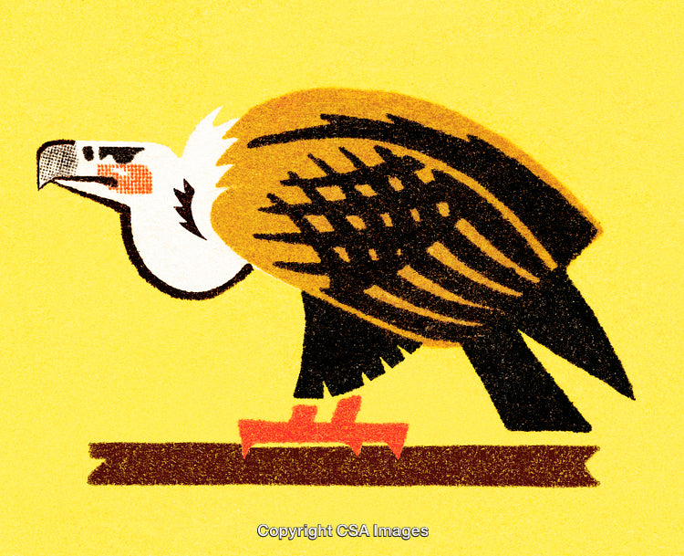 Stylized Vulture Illustration on Bright Yellow Background with Artistic Details