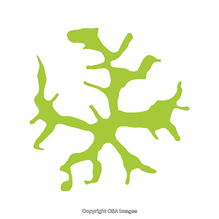 Abstract Green Bioorganic Shape Symbolizing Nature and Growth