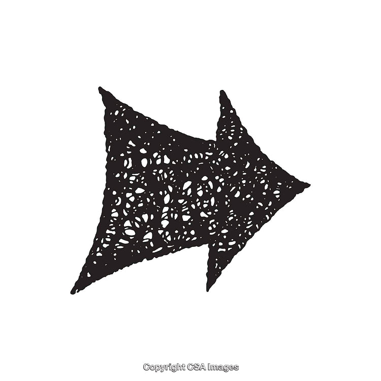 Abstract Decorative Arrow With Intricate Pattern in Black