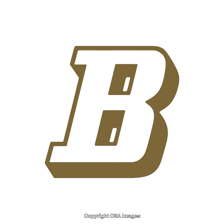 Bold Intricate Illustration of the Letter B in Minimalist Style