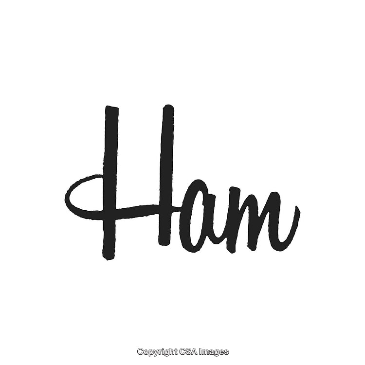 Stylized Handwritten Ham Text in Black Font Isolated on a White Background