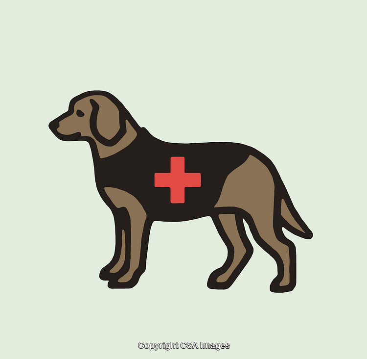 Illustration of a Medical Alert Dog with a Red Cross Patch