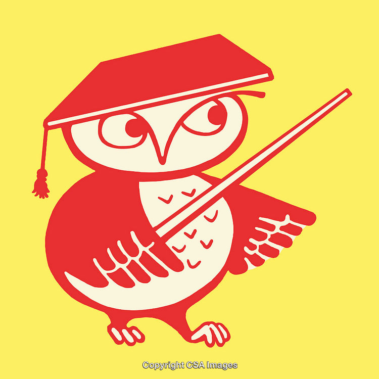 Colorful Line Art Owl Illustration With Mortarboard and Pointer on Yellow Background
