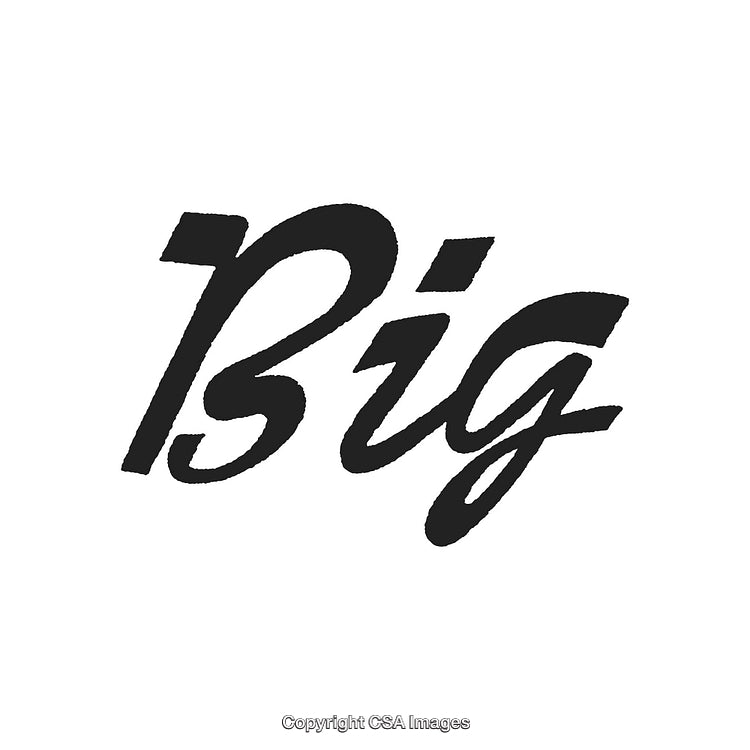Bold Stylized Word 'Big' in Back Ink on White Background