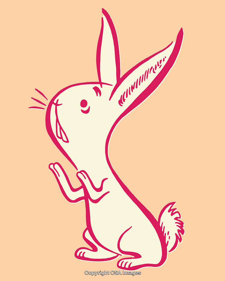 Cute Line Art Illustration of a Standing Rabbit on Peach Background