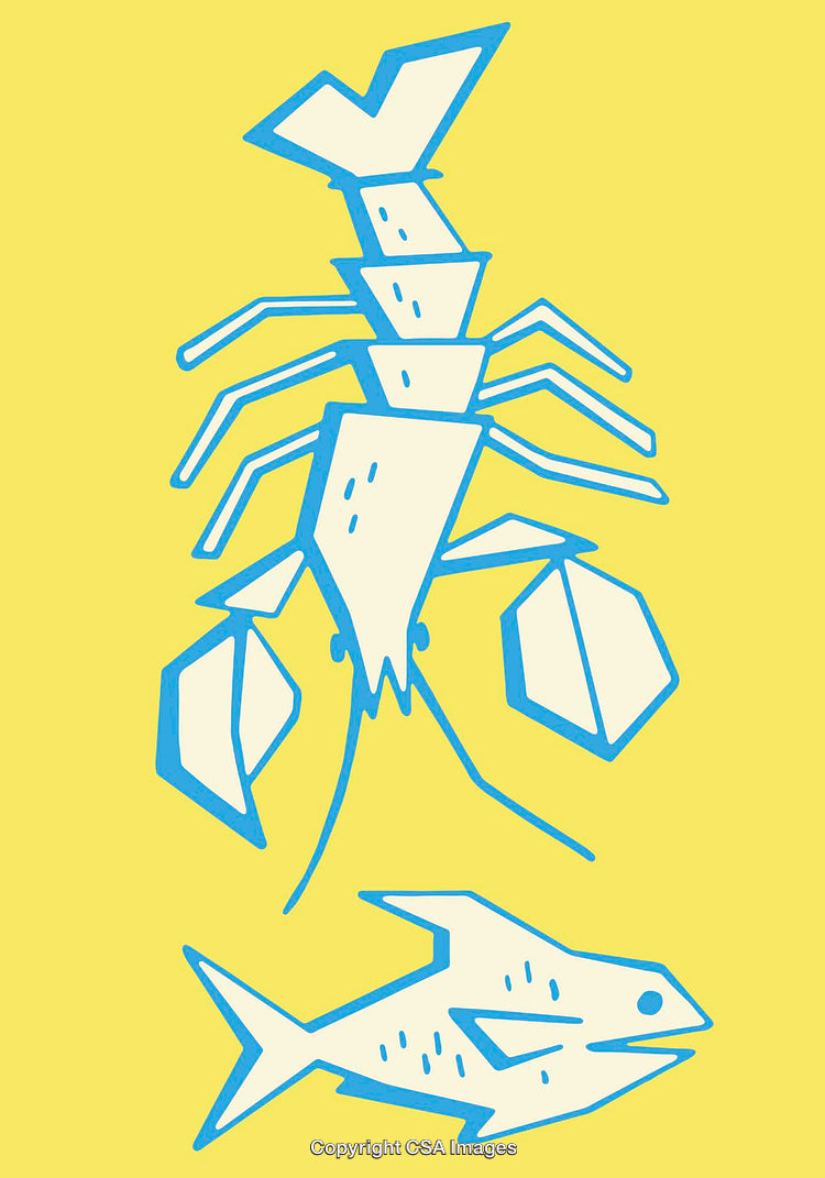 Stylized Illustration of Lobster and Fish in Vibrant Blue and Yellow Colors