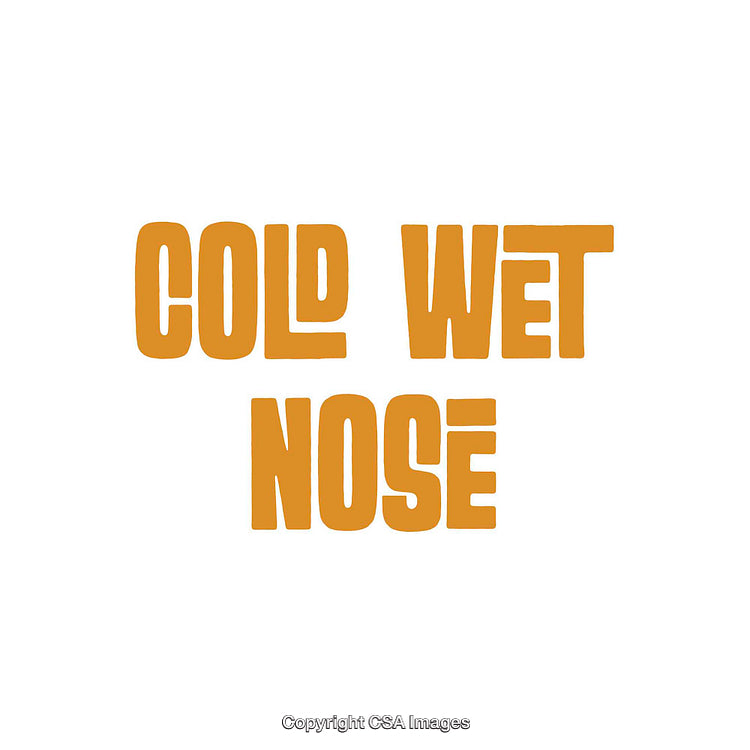 Bold Typography Highlighting a Creative Phrase in All Caps