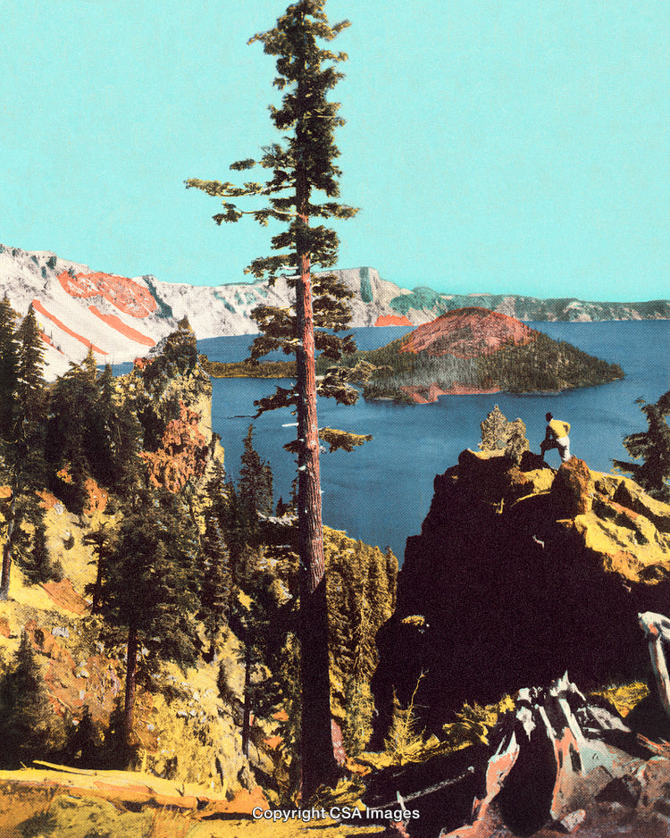 Scenic Forest Overlook at a Tranquil Lake with Island in View