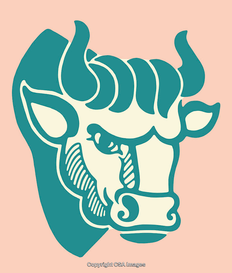 Stylized Bull Head Illustration with Bold Colors and Geometric Lines