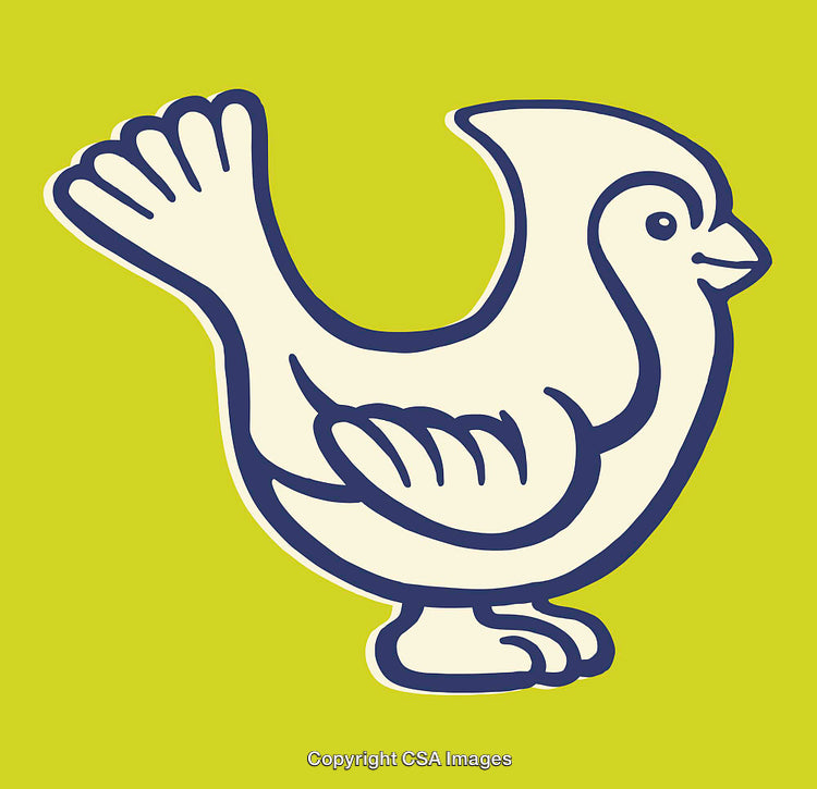 Colorful Line Art Illustration of a Bird on a Vibrant Background