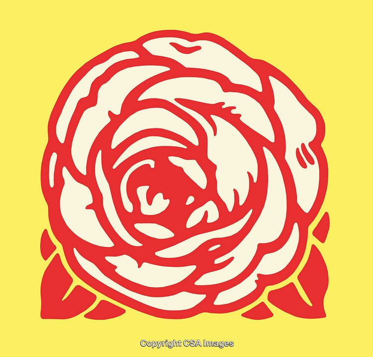 Red Rose Flower Illustration on a Bright Yellow Background
