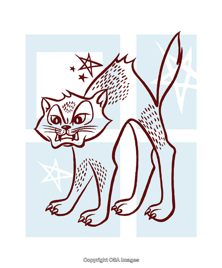 Vibrant Illustration of an Angry Cat With Stylized Features and Stars