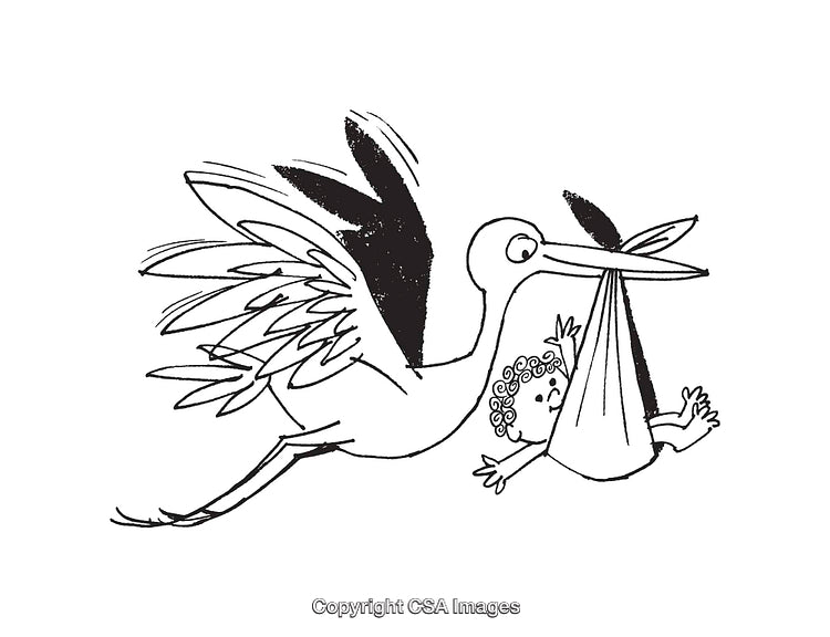 Illustration of a Stork Carrying a Baby in a Sack
